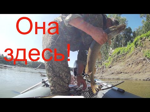 Видео: Засадная щука в коряжнике! Рыбалка на Оби.