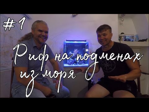 Видео: #1.Морской аквариум на подменах из моря | г. Владивосток