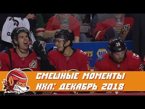 Видео: Самые курьёзные и смешные моменты НХЛ: декабрь 2018