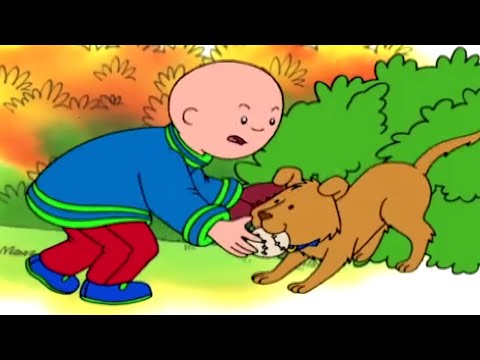 Видео: Каю и Щенок | Каю на русском | Мультфильм Каю | Мультики для детей