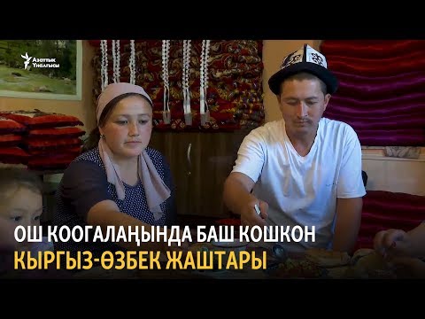 Видео: Ош коогалаңында баш кошкон кыргыз-өзбек түгөйлөр