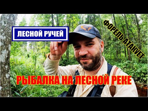 Видео: РЫБАЛКА НА МАЛЕНЬКОЙ ЛЕСНОЙ РЕЧКЕ ЛЕТОМ | УЧУСЬ ЛОВИТЬ ФОРЕЛЬ