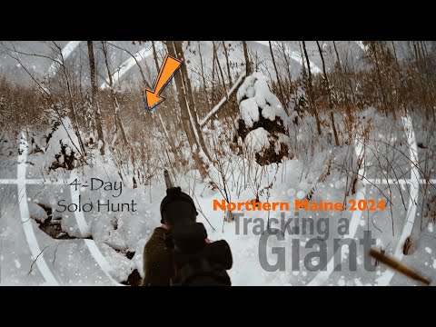 Видео: Я провёл 4 дня, выслеживая САМОГО БОЛЬШОГО оленя, которого я КОГДА-ЛИБО видел! Настоящий гигант и...
