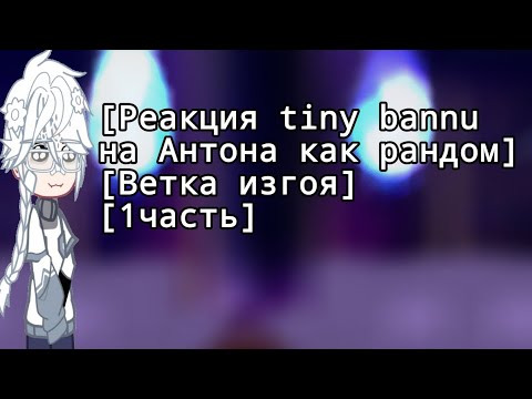 Видео: [Реакция tiny bannu на Антона как рандом] [Ветка изгоя] [1 часть]