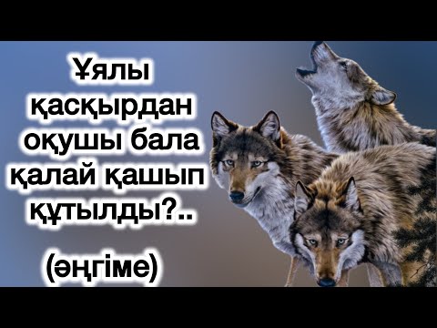 Видео: Ұялы қасқыр.Әсерлі әңгіме