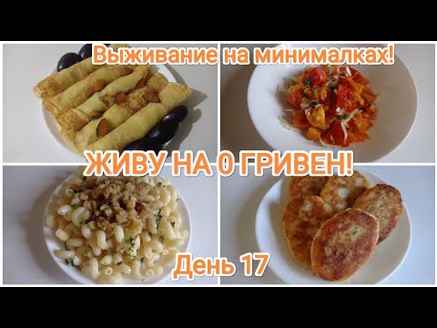 Видео: ЖИВУ НА 0 ГРИВЕН! День 17