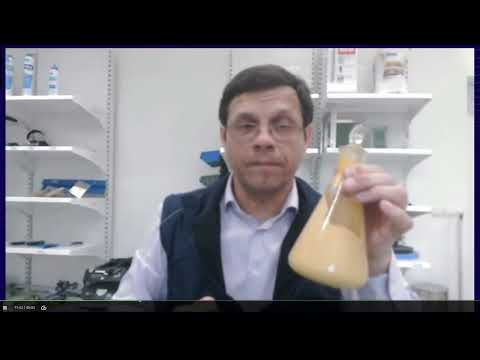 Видео: Секреты выбора и применения грунтовок КНАУФ