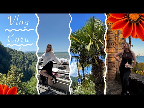 Видео: VLOG: Сочи / день рождения мелкого 🥳
