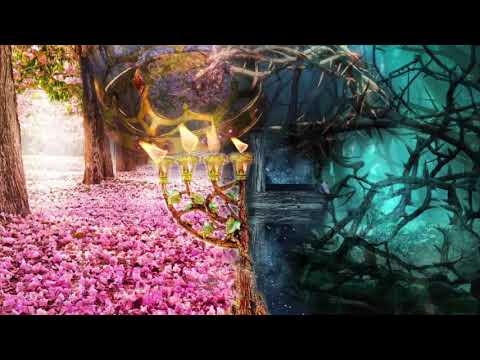 Видео: Дебора-Целостность