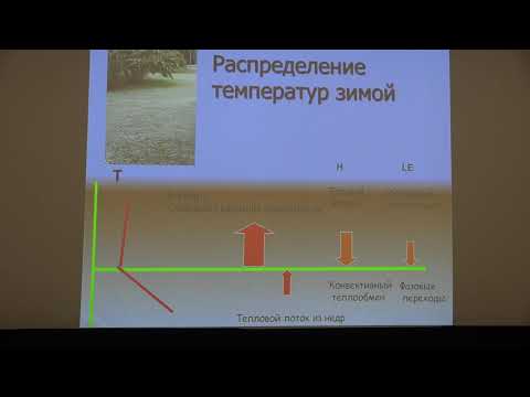 Видео: Брушков А. В. - Геокриология. Часть 1 - 7. Температурный режим горных пород