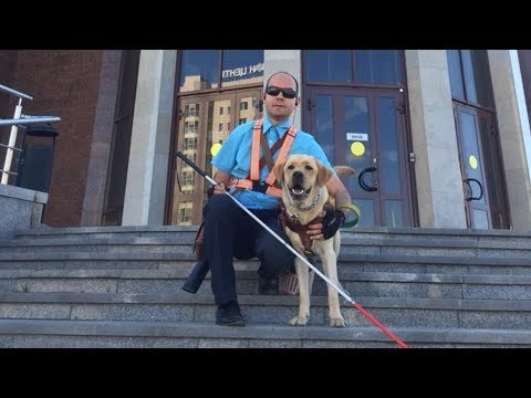 Видео: Слепого с собакой выгнали из автобуса