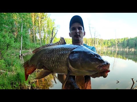Видео: Рыбалка на Карпа | Ловля Карпа на Боковой кивок | Адреналин на пределе !!!