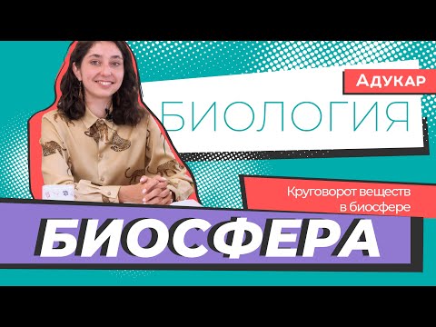 Видео: Биосфера. Круговорот веществ в биосфере | Биология ЕГЭ, ЦТ