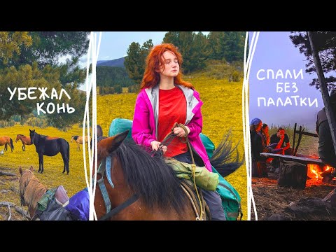 Видео: ПОХОД на ЛОШАДЯХ 🌄 моя неделя в тайге