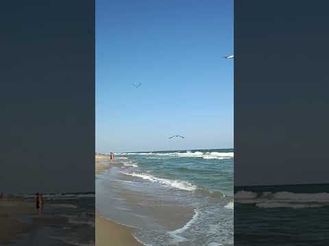 Видео: 💦Грусть 💦🫧✅📝🎼🎶🎵 Песня на стихи Аслана Уарзиаты 💖✨🫶🕊️🌿