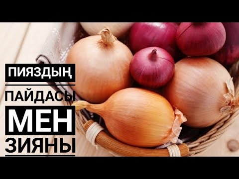 Видео: Пияздың пайдасы мен зияны
