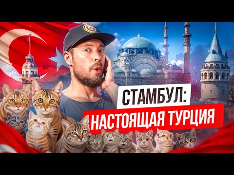 Видео: СТАМБУЛ - главный город Турции | Безумные цены, толпы туристов и впечатления на всю жизнь