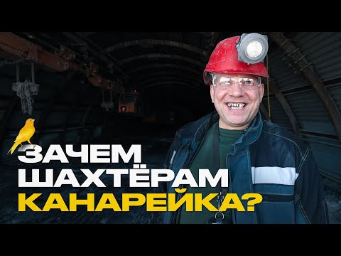 Видео: Всё, что вы не знали о шахтёрах. Зарплата, опасности и "плюшки" профессии.