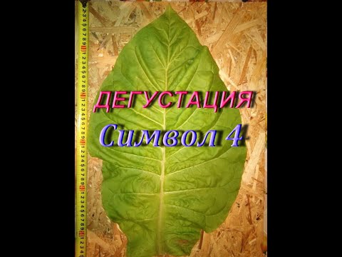 Видео: СИМВОЛ 4 - ДЕГУСТАЦИЯ