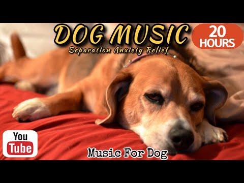 Видео: 20 часов любимой музыки собак🐶💖Музыка для сна собак 🐶🎵 Музыка для снятия беспокойства при разлуке🎵