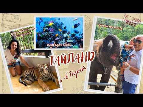 Видео: Тигри, слонове и подводен свят на о-в Пукет  - (Тайланд) - Професия турист (Thailand, Phuket)