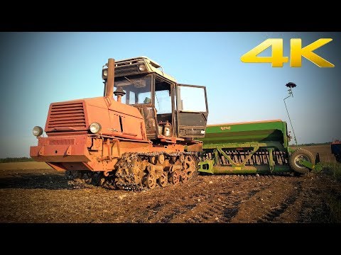 Видео: ВТ-100 - Волгоградский трактор, который не стал ЛЕГЕНДАРНЫМ, как ДТ-75