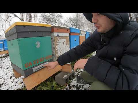 Видео: #льотки при #зимівлінаволі #МОя_ПАСІКА #вентиляція #секретибджоляра #бджільництво #вентиляціявдашку