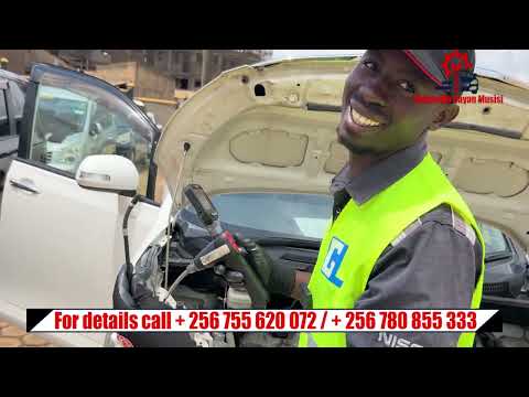 Видео: Мы осмотрели Toyota Noar в январе в Японии.