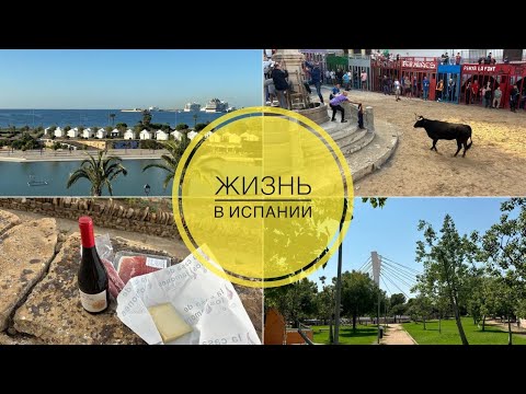 Видео: # 542 Жизнь В Испании. Быки. Посуточная Аренда.  Паром На Майорку. Здесь Начинается Ад