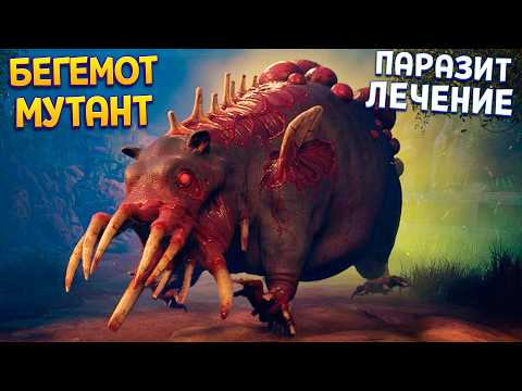 Видео: ЛЕЧЕНИЕ БЕГЕМОТА С ПАРАЗИТОМ ( Zoochosis )