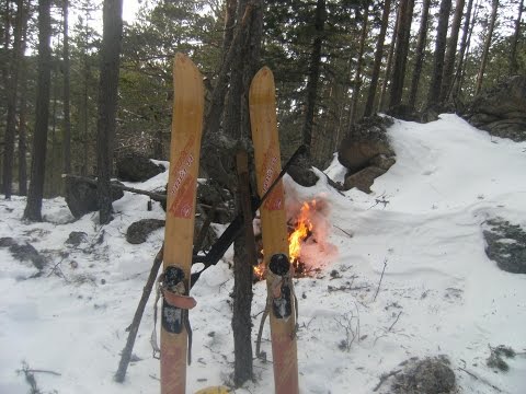 Видео: В поисках соболя