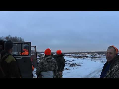 Видео: 8.01.25 г Охота на косулю. Закрыли 1 лицензию