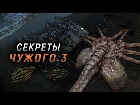 Видео: ОТКУДА ВЗЯЛСЯ ВТОРОЙ ЛИЦЕХВАТ? | СЕКРЕТЫ ЧУЖОГО 3