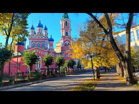 Видео: прогулка в золотую осень