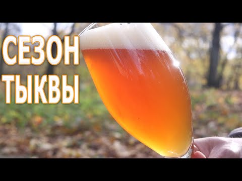 Видео: Сезон тыквы. Тыквенный эль