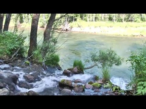 Видео: "НУ и НУ!": Тигирек - душа Алтая. Часть 4 (Бийское телевидение)