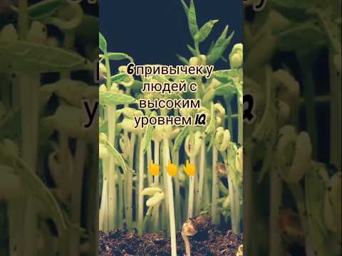 Видео: Задумайся! #психология #саморазвитие #жизнь #сила #цель #вдохновение  #мудрость #я #motivation