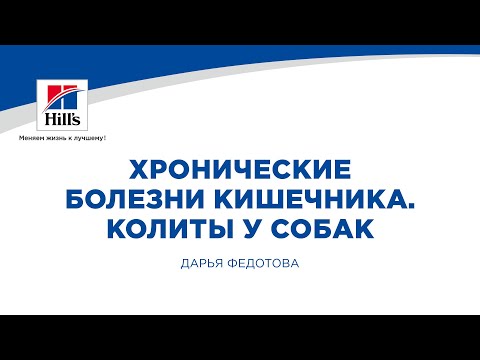 Видео: Вебинар на тему: “Хронические болезни кишечника. Колиты у собак”. Лектор - Дарья Федотова.