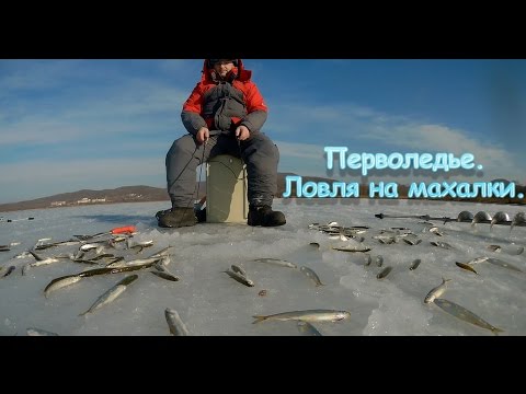 Видео: Зимняя рыбалка. Корюшка малоротка на махалки.