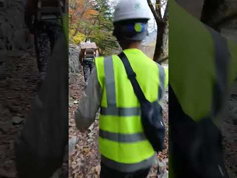 Видео: Корея. Работа. Путешествия.