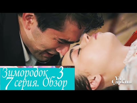 Видео: Зимородок 3 Серия 7 Обзор пересказ