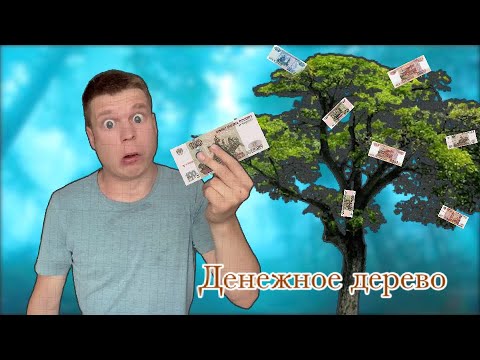 Видео: Малой нашёл денежное дерево!