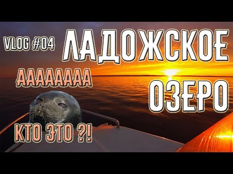 Видео: Ладожское озеро. Непонятное существо. Небесный фонарик. Крепость Орешек. Зеленцы. Шлиссельбург.  #04