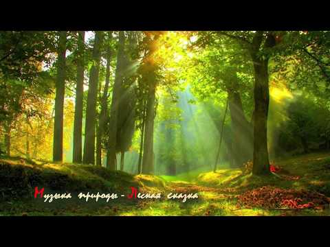 Видео: Исцеляющая музыка для сна, медитации и успокоения нервной системы 1 ЧАС 🍁  Музыка природы на гуслях