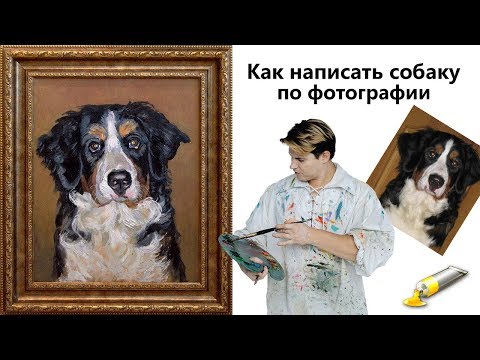 Видео: Как нарисовать собаку, щенка. Живопись маслом.