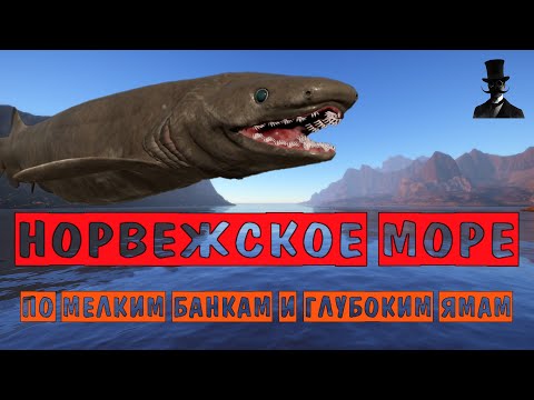 Видео: Норвежское море. По мелким банкам и глубоким ямам. Русская Рыбалка 4.