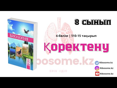 Видео: 8-сынып Қоректену §10-15 тақырып 4-бөлім / Ribosome.kz / Ерік Әділ