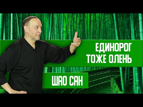 Видео: Плавность, чуткость и быстрая реакция | Шао Сан