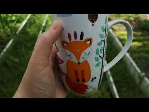 Видео: ГУЛЯЕМ с БЕЛКОЙ, всё КАК ВСЕГДА))