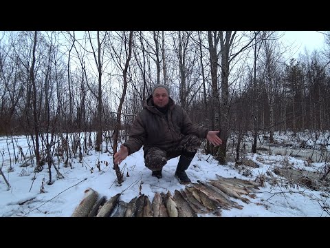 Видео: ПЕРВЫЙ ЛЁД ! НОЧЬ В ПАЛАТКЕ У ДОРОГИ \ ПРОВЕРКА ЖЕРЛИЦ , ОКУНЬ НА БЛЕСНУ \ ЗИМНЯЯ РЫБАЛКА 2023-24!